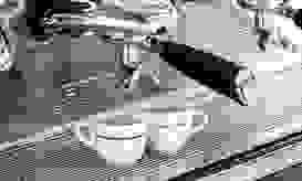 Kaffee Gastronomie-Produkte Kaffee Gastronomie-Produkte